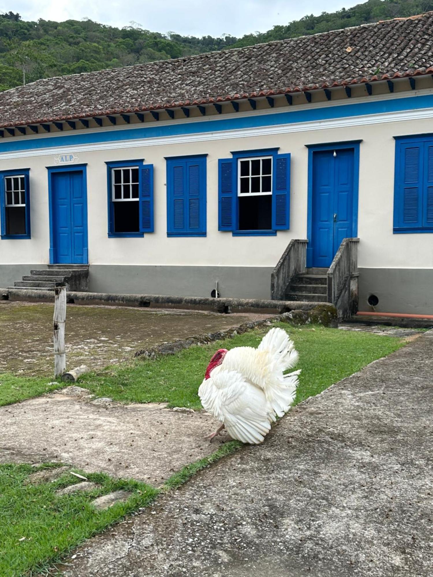 Habitación en casa particular Fazenda Penedo *